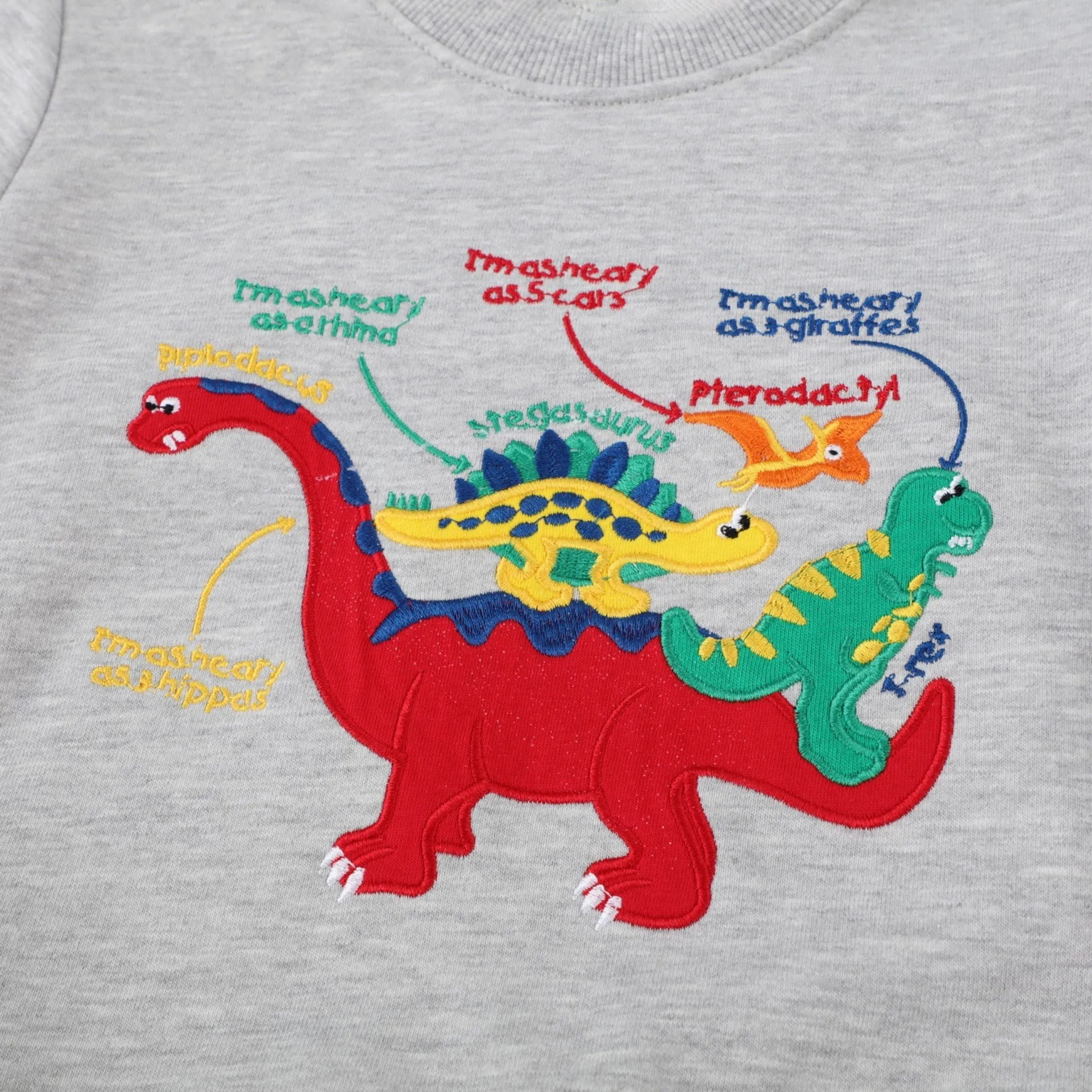 Full Sleeve Cute Dino Theme Boys Sweatshirt, Grey